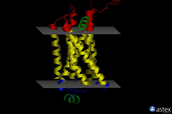 Membrane view of 6ps4