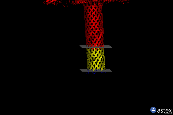 Membrane view of 6psn