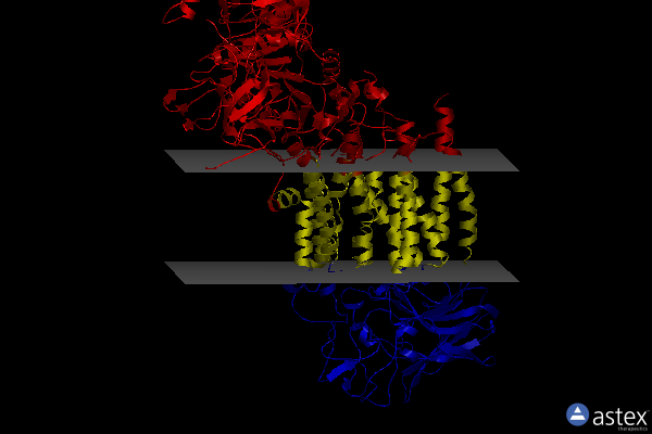 Membrane view of 6psy