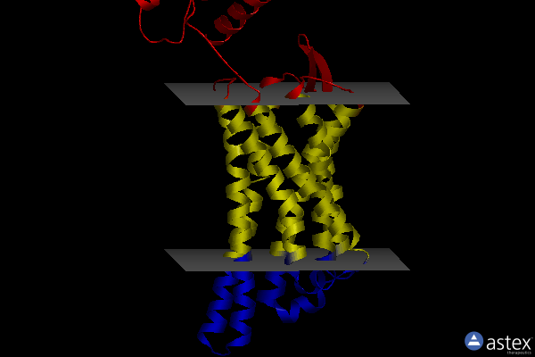 Membrane view of 6pt3