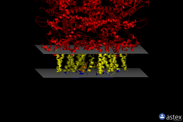 Membrane view of 6pur