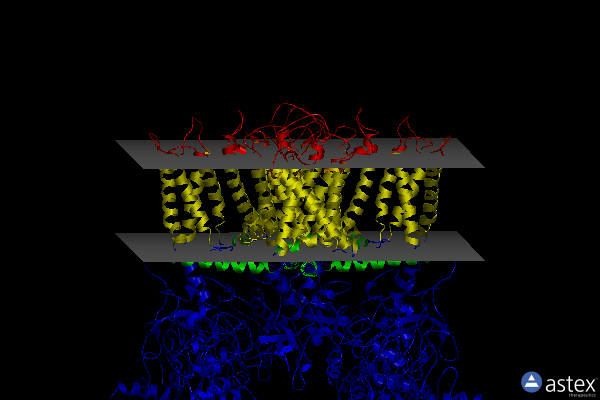 Membrane view of 6pvl
