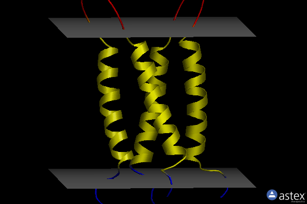 Membrane view of 6pvt