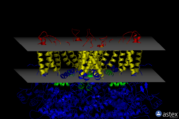Membrane view of 6pw4