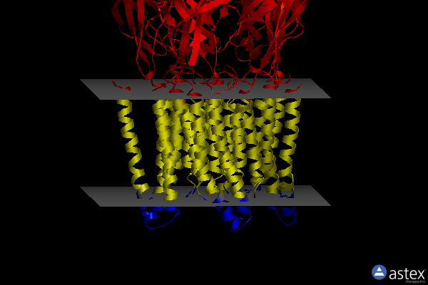 Membrane view of 6pxd
