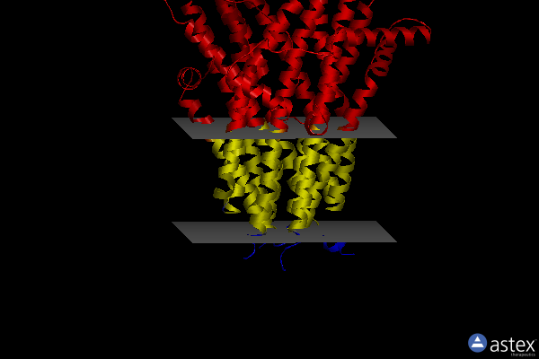Membrane view of 6pz9