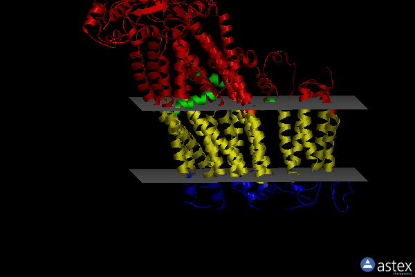 Membrane view of 6pzb