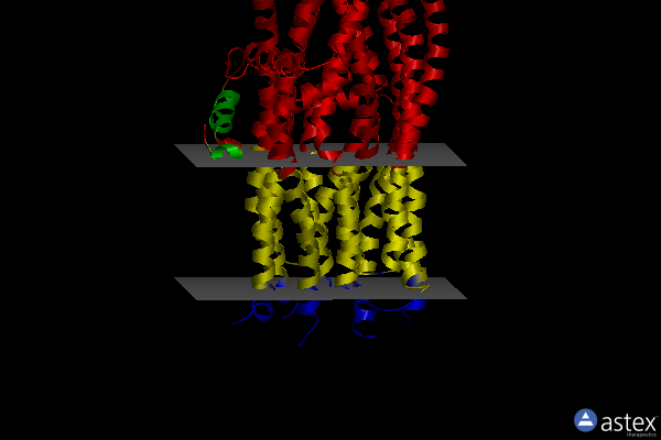 Membrane view of 6pzc