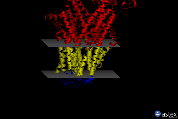 Membrane view of 6pzi