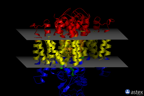 Membrane view of 6pzt