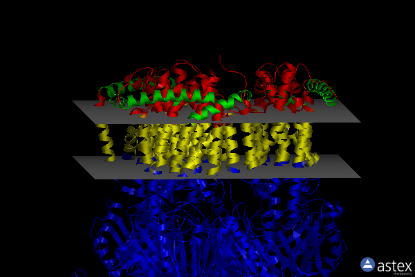 Membrane view of 6q4p
