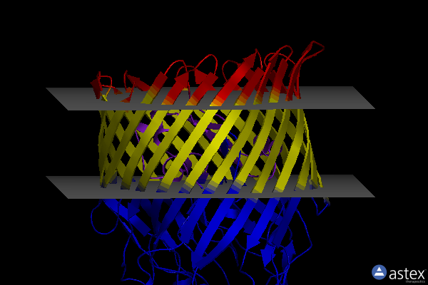 Membrane view of 6q5e