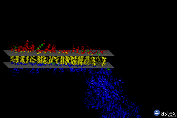 Membrane view of 6q8w