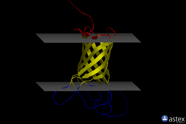 Membrane view of 6qam