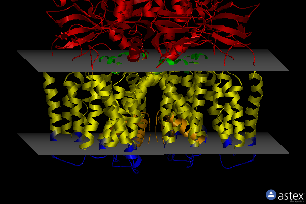 Membrane view of 6qcz