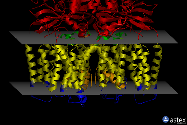 Membrane view of 6qd4
