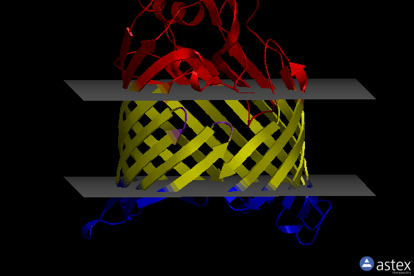 Membrane view of 6qgw