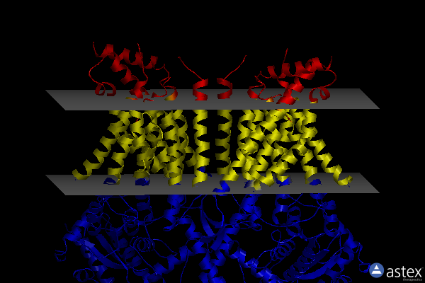 Membrane view of 6qm4