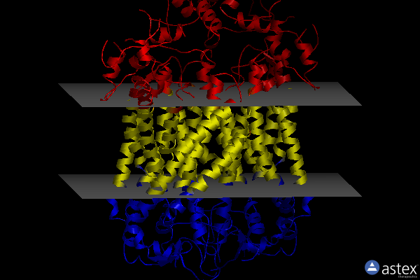 Membrane view of 6qpc