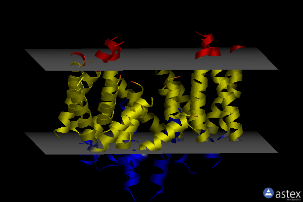 Membrane view of 6qpi