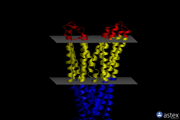 Membrane view of 6qv1