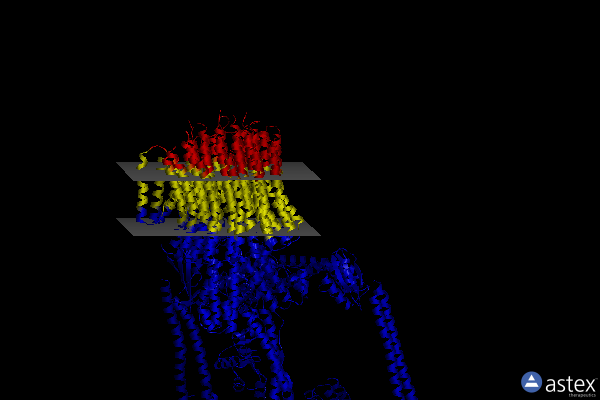 Membrane view of 6r0w