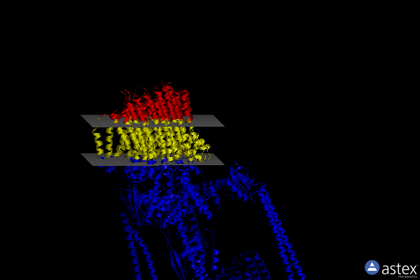 Membrane view of 6r0y