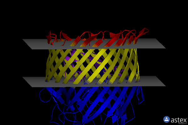 Membrane view of 6r1f