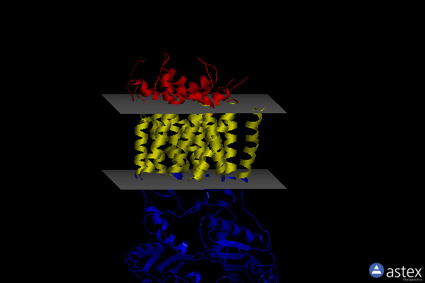 Membrane view of 6r4l