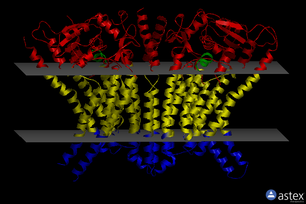 Membrane view of 6r65