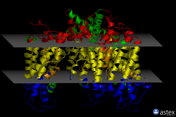 Membrane view of 6r7r