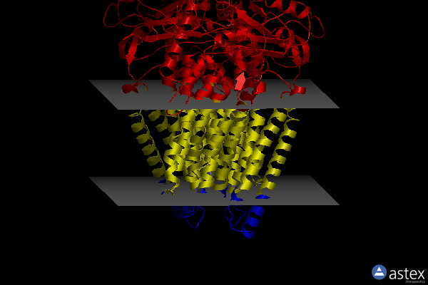 Membrane view of 6r7y