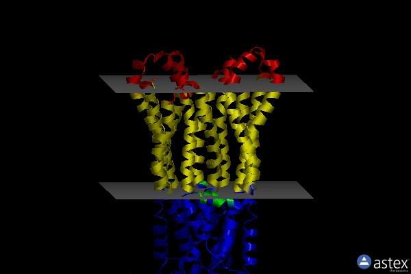 Membrane view of 6r81