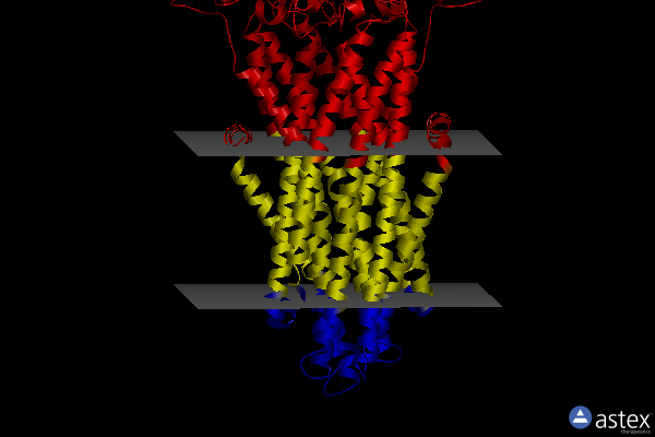Membrane view of 6raf