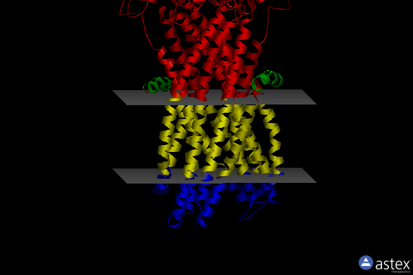 Membrane view of 6rah