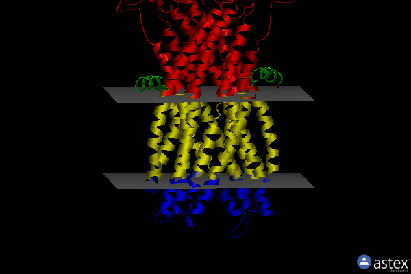 Membrane view of 6raj