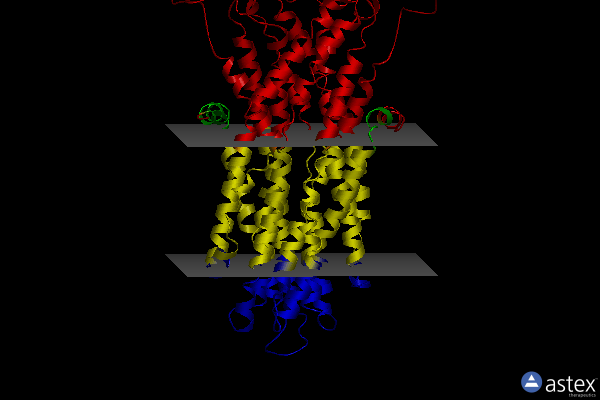 Membrane view of 6ral