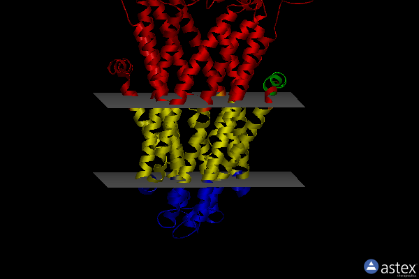 Membrane view of 6ran