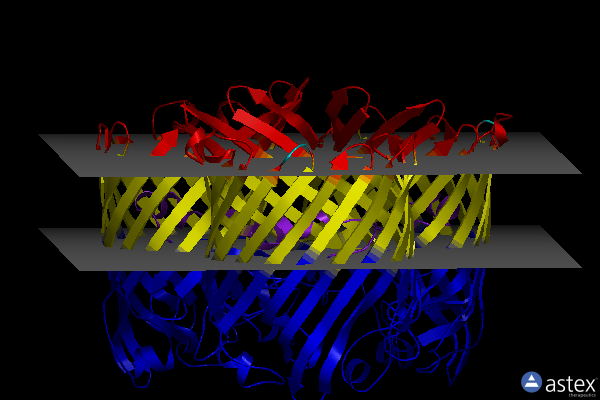 Membrane view of 6rck