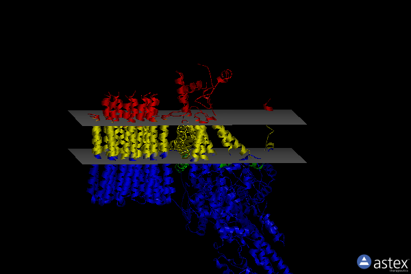 Membrane view of 6rd8