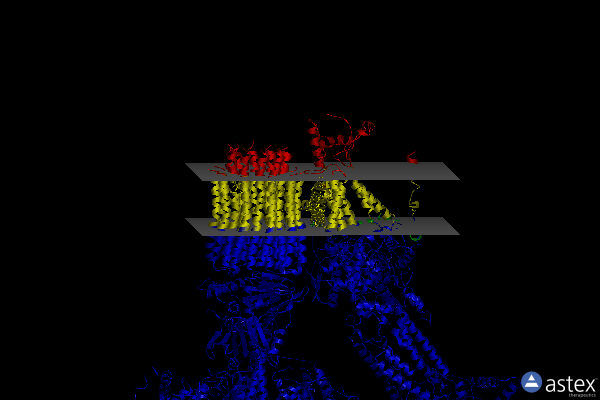 Membrane view of 6rdc