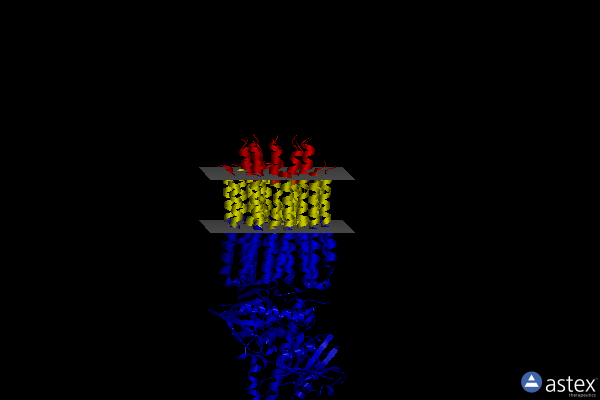 Membrane view of 6rdm
