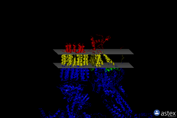 Membrane view of 6rdn
