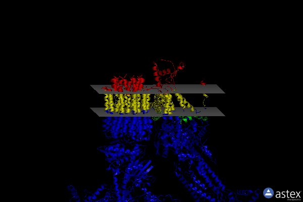 Membrane view of 6rdq