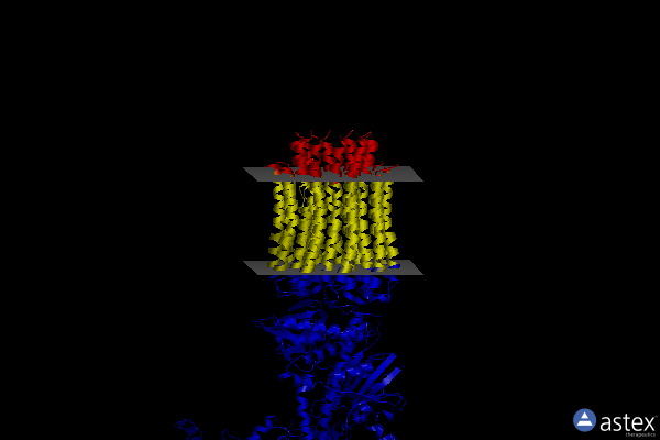 Membrane view of 6rds