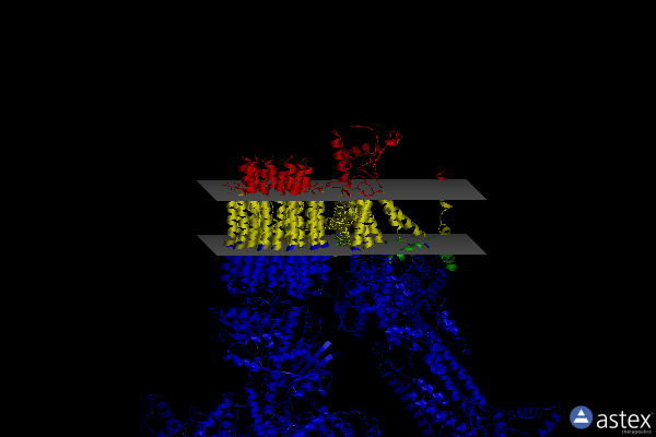 Membrane view of 6rdt