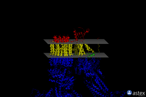 Membrane view of 6rdx