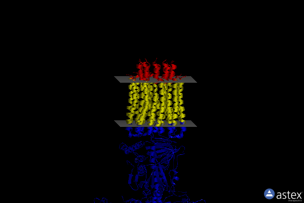 Membrane view of 6re1