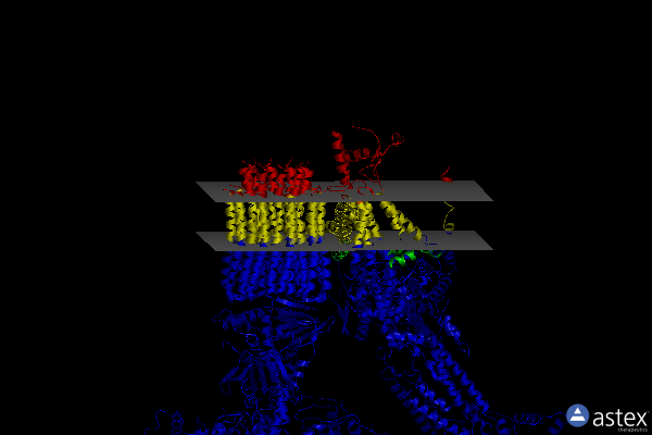 Membrane view of 6re2