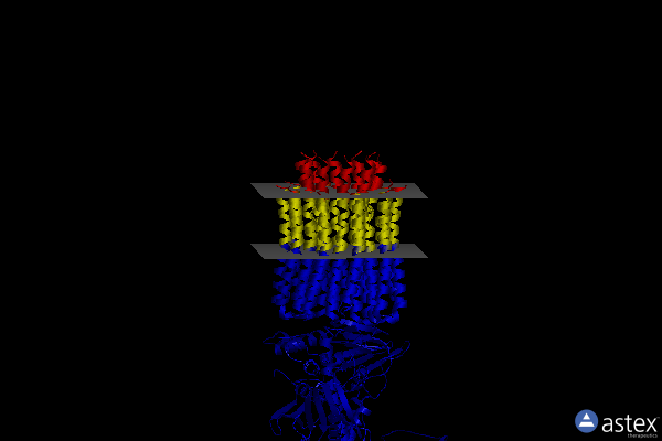Membrane view of 6rea